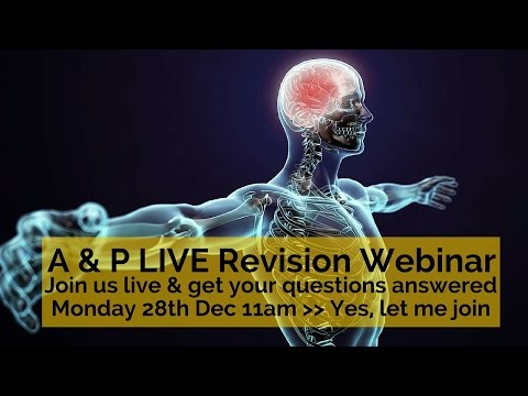 Anatomy and Physiology Revision: Live Webinar and Q &amp; A Session.