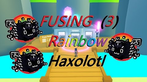 Fusing 3 Rainbow Haxolotl - in Pet Simulator X!