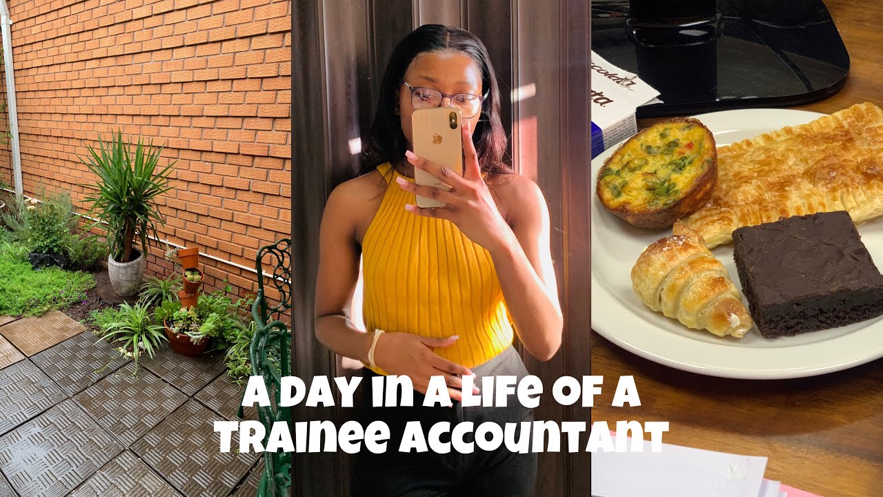 A Day In A Life Of A Chartered Accountant Trainee roadto500subs YouTube a-day-in-a-life-of-a-chartered-accountant-trainee-roadto500subs-youtube