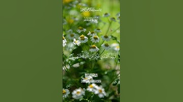 سورة القدر تلاوة رائعة للشيخ عبدالباسط عبدالصمد #قران_كريم #عبدالباسط_عبدالصمد #القران_الكريم #quran