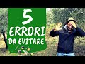 Potatura OLIVO: 5 errori da non fare