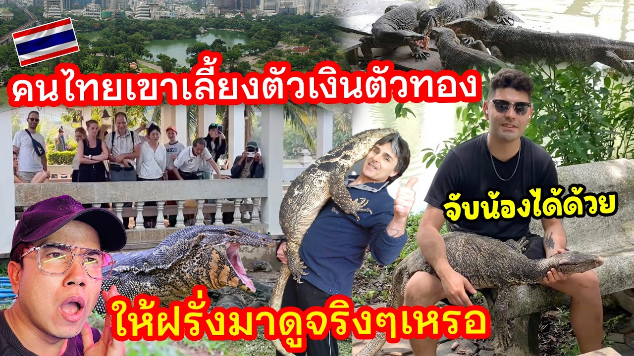 คนไทยเขาเลี้ยงตัวเงินตัวทองไว้ให้ชาวต่างชาตินั่งเครื่องบินมาดูจริงๆเหรอ