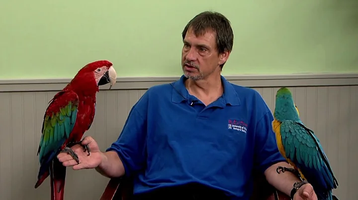 The Paw Report, Episode 706 - Exotic Pets and Stress