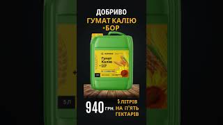 Ціна Добрива На 5Гектарів Соняшника.гумат Каліюбор Соняшника