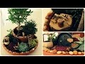 Fairy Garden #4 * DIY * Minigarten im Topf