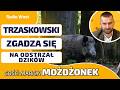 AKTYWIŚCI BLOKUJĄ ODSTRZAŁ DZIKÓW. MOŻDŻONEK: ODSTRZAŁ TO JEDYNE ROZWIĄZANIE