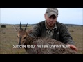 J Taylor* | Common Duiker | 2015