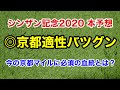 【シンザン記念2020】追い切り抜群。この馬はバケモノかもしれない。圧勝を期待。