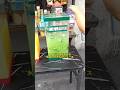 フィリピンのなぞジュース飲んでみた！#フィリピン #philippines #streetfood #フィリピングルメ #cucumberjuice #フィリピングルメ
