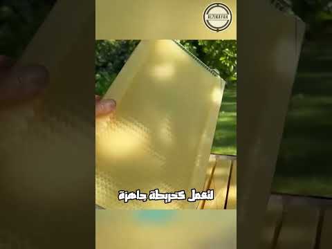 هكذا يتم تمهيد بيوت النحل ترند