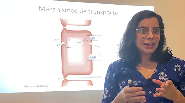 Qual o papel da água no corpo humano?
