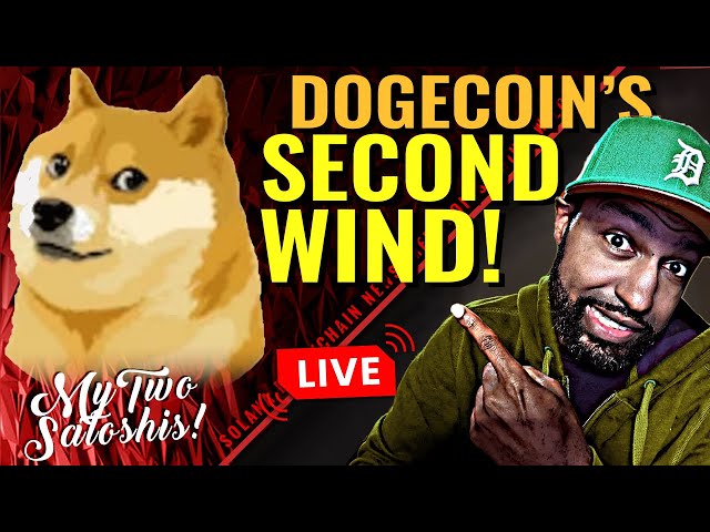 It's Doge Day Again? Twitter Hints at Doge Payment Option | Revival or Pump & Dump?