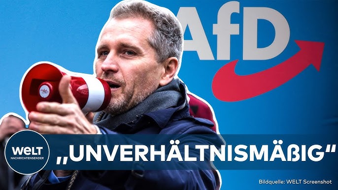 BYSTRON-AFFÄRE: Skandale um AfD nehmen nicht ab! So reagiert die Partei auf die Durchsuchung