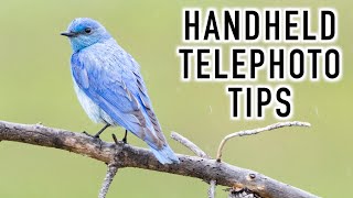 Tips for Managing a Large Telephoto Lens Handheld