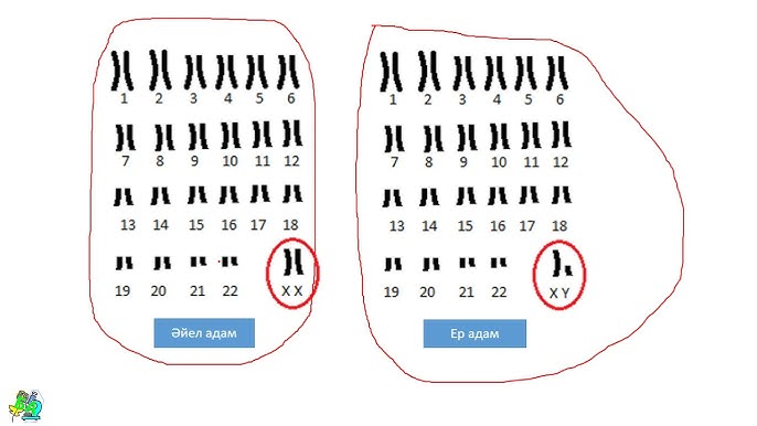 Орыс порно фильм