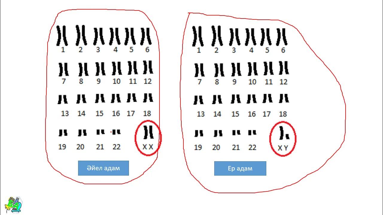 Есегінде мүшесі бар жалаңаш қыздар Сиськи емізік письки фото