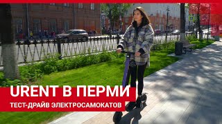 Тест-драйв аренды электросамокатов Urent в Перми | 59.RU