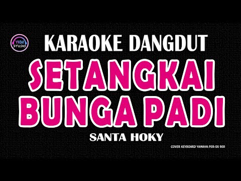 SETANGKAI BUNGA PADI KARAOKE NADA COWOK SANTA HOKY