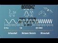 8000 Hz   everyone should hear people of all ages
