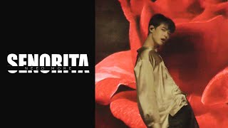 [4K] 190928 TAIWAN FAN MEETING 'Be Shining : 燦' - Senorita COVER DANCE (VICTON BYUNGCHAN)