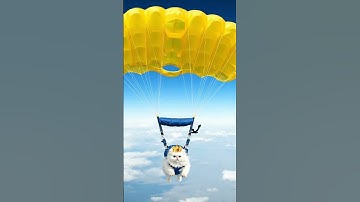 “Dog, Cat & Monkey Go Paragliding for the First Time! #ai #funny #catvideos  #animation