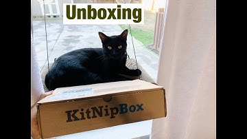 Unboxing: cat’s subscription box | Kitnip Box | September 2020