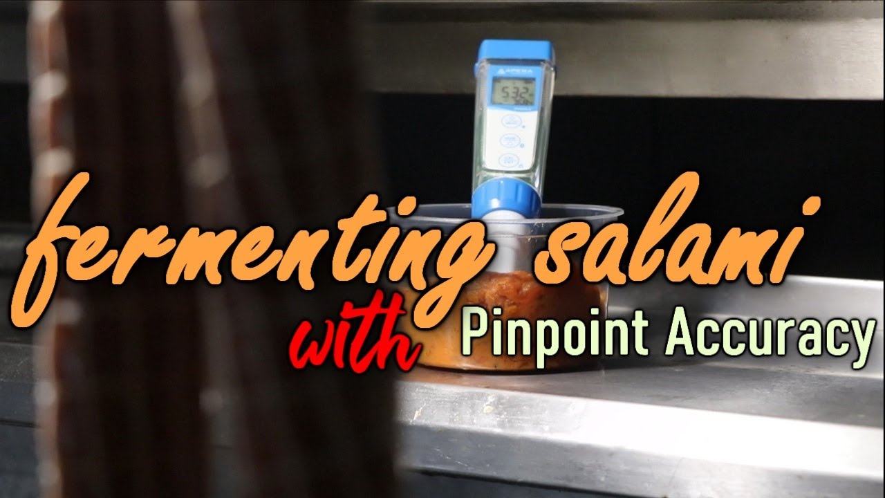 How to hit your salami's pH target every time - Apera PH60S-Z