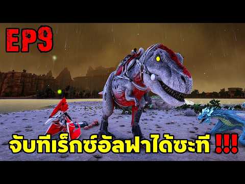 จับทีเร็กซ์อัลฟาได้ซะที!!! ARK SUPREME EP9