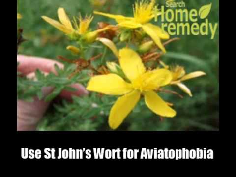 5 Herbal Remedies For Aviatophobia - Treat Aviatophobia Effectively