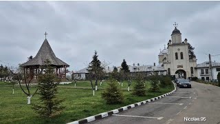 Mănăstirea Pasărea | Stejar secular - „Copacul dorințelor”