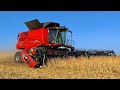 Soybean Harvest 2021 Begins!