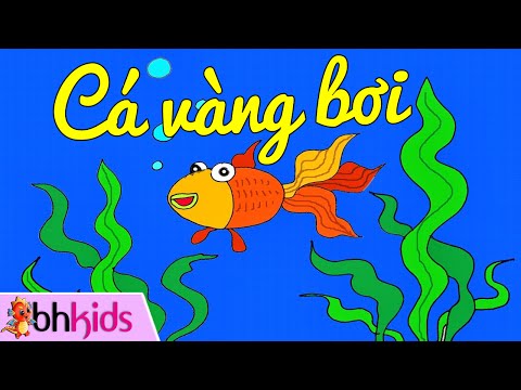 Video Cá Vàng Bơi Trong Bể Nước - Dạy Bé Tập Hát Ca Vang Boi - youtube
