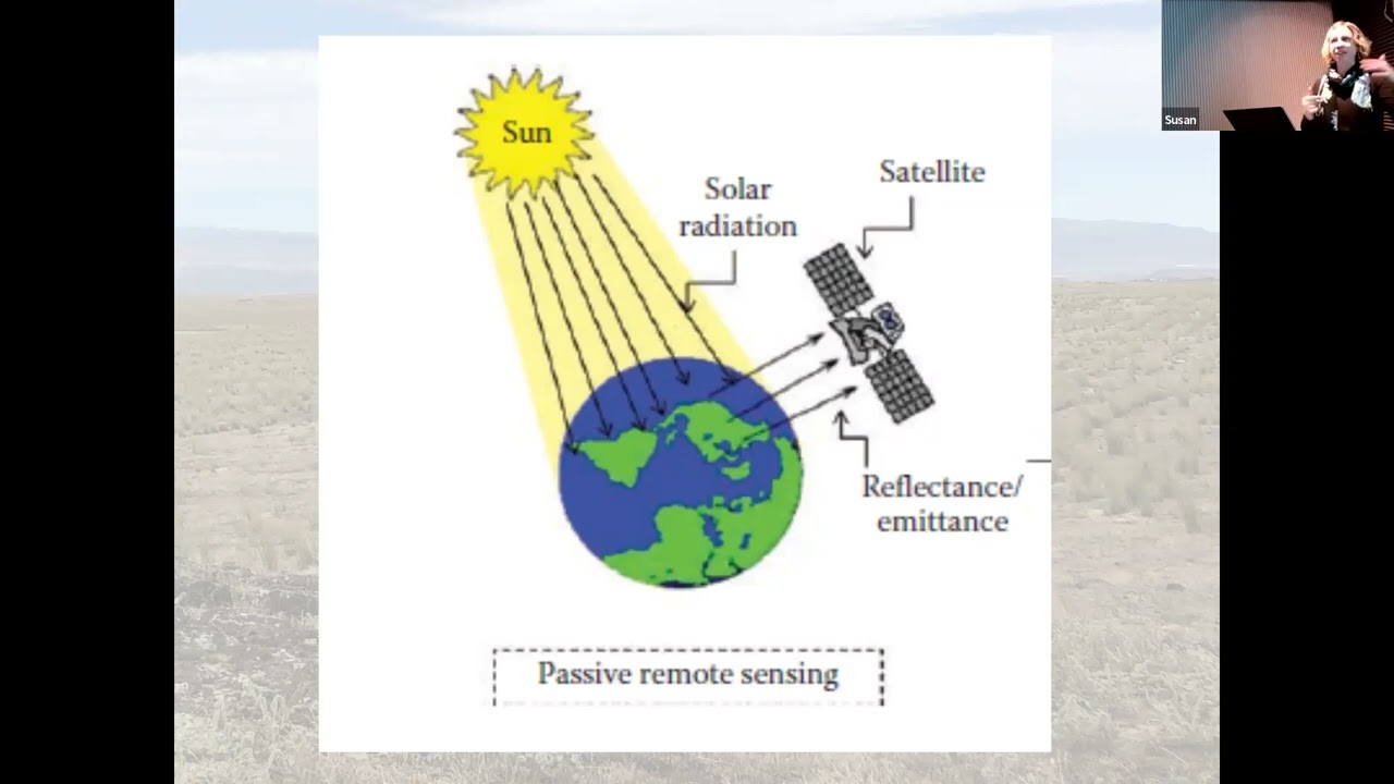 Mapping of Invasive Species with Unoccupied Aerial Systems