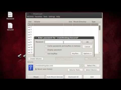 Truecrypt on Backtrack 5 R1