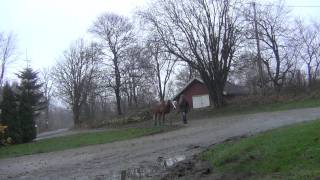 Stuck In A Moment With You Blesen And Fröken Sofia
