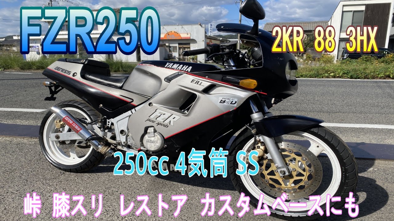 YAMAHA ヤマハ FZR250 2KR 3HX 書類付き EXUP ヤマハ FZR250 2KR 88 3HX 実働 書類付き 吹け上がり良好 ネイキッド
