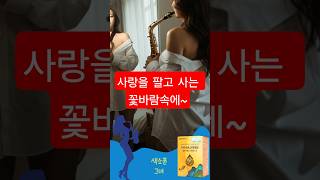 사랑을 팔고 사는 꽃 바람 이찬원 임영웅..&quot;홍도야 우지마라&quot; 색소폰 연주 #트로트 #saxophone
