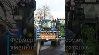 Как Фермеры Латвии Требуют Запретить Импорт Продовольствия Из Беларуси И России #Shorts