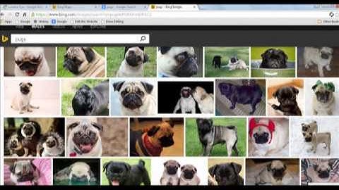 Google VS Bing - 2015 Comparison