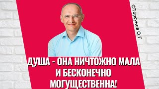 Душа - она ничтожно мала и бесконечно могущественна! Торсунов лекции