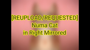 [REUPLOAD/REQUESTED] Numa Cat in Right Mirrored