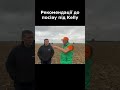 Рекомендації до посіву під Kelly   #agro