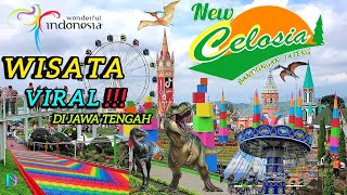 New Celosia Semarang Bandungan Jawa Tengah Viral Di tik tok ❗️❗️❗️.                #newcelosia