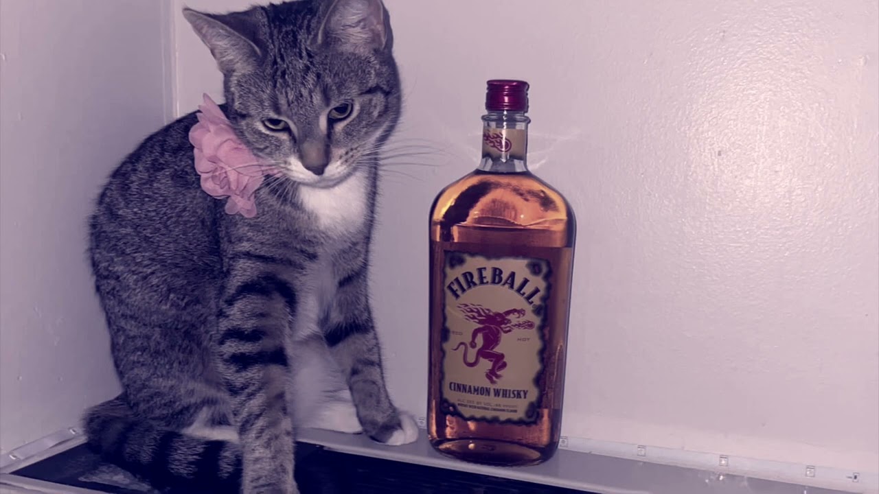 Jaydes on Entry 7 (darciere.xo) - bb$tallone