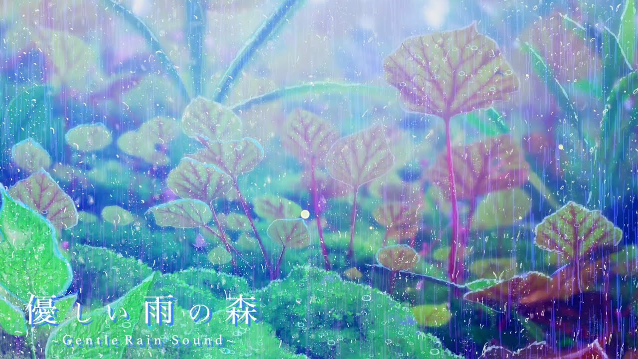 Звук тихого дождя. Красивый лес. Видео атмосферы для сна.