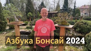 Азбука Бонсай! Предзапись на новый поток 2024