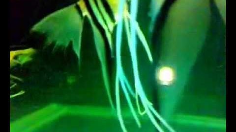 Thần Tiên Ai Cập mp4   YouTube