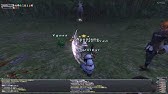 Ff11 Omen Fu Blu Solo オーメン 歩 青魔道士ソロ 武器 タンモガイ 1 コーネリア失踪中 Youtube Ff11 Omen Fu Blu Solo オーメン 歩 青魔道士ソロ 武器 タンモガイ 1 コーネリア失踪中 Youtube