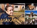 Макарий // Рыбка // Страусы