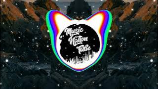 SHADXWLXRD - MONTAGEM CORAL 1.0